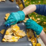 A Beginner’s Guide to Understanding Different Strains of Flower Cannabis