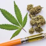 Breaking Taboos: Why CBD Candy is Gaining Popularity in the Mainstream Market