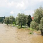 Bar Crawling in Sin City: A Fun and Chilling Night Out in Las Vegas