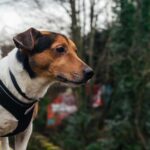 What Homeowners Need to Know About the Slab Foundation Repair Process