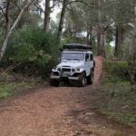 Choosing the Best Rental Options in Sydney