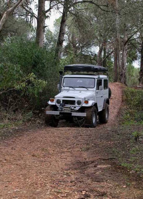 Must-Know Tips for Traveling