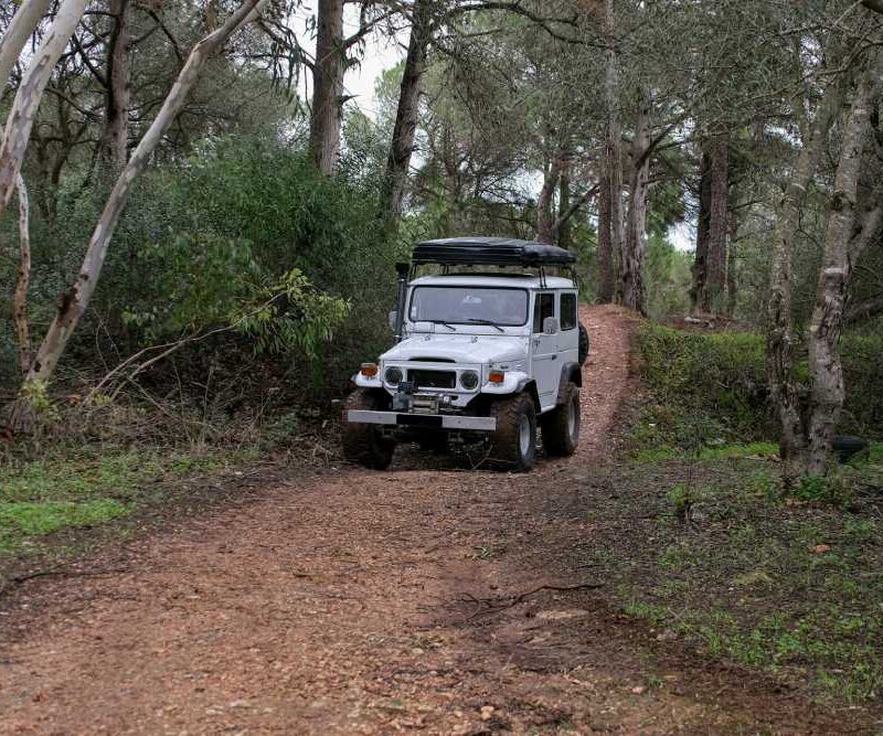 Must-Know Tips for Traveling