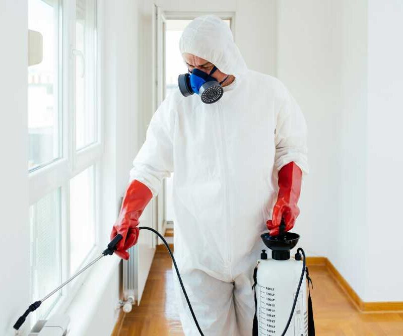 The Benefits of Professional Pest Control Services