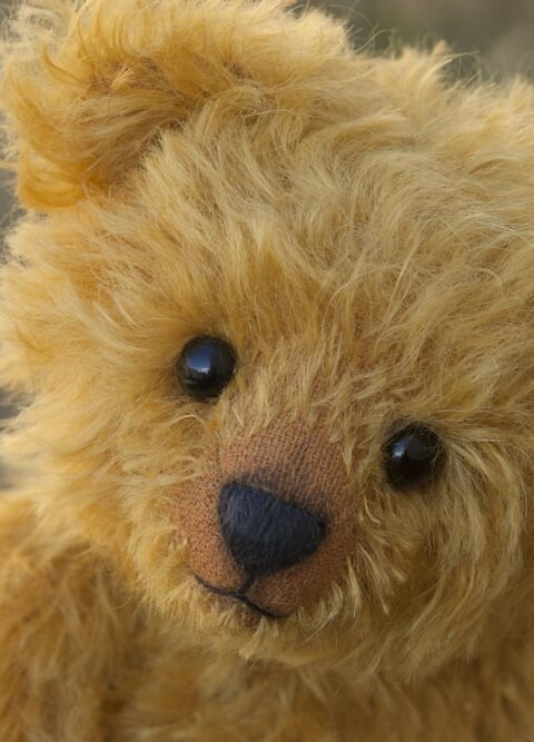 Gifts Both Kids and Parents Will Love