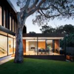 Young, Wild, and Used: The Appeal of Pre-Owned Cars for Gen Z