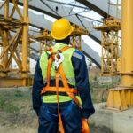 Natural Ways to Boost Your Pet’s Health and Happiness