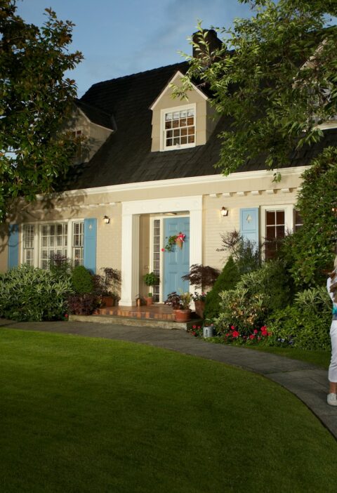 Organic Lawn Fertiliser vs. Chemical Fertilisers