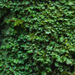 Technological Advancements in Evidence Collection: How UK Private Investigators Stay Ahead