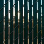 Organic Lawn Fertiliser vs. Chemical Fertilisers: Pros and Cons