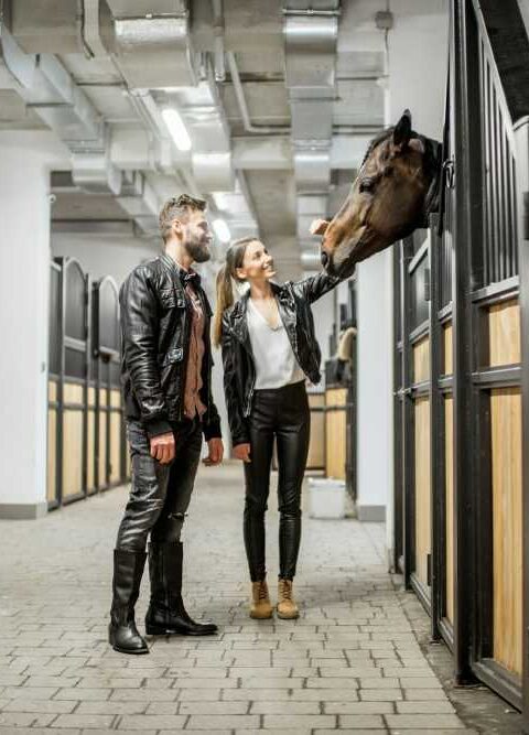 Right Balance in Your Horse Barn