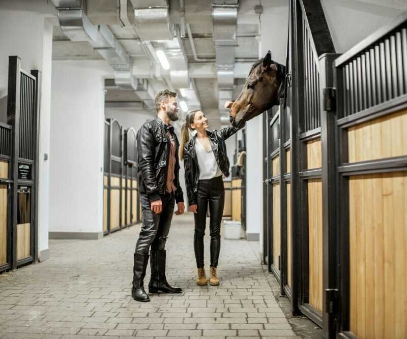 Right Balance in Your Horse Barn