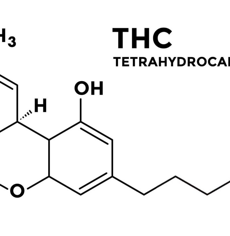 nature's compounds THC and CBD for wellness and health