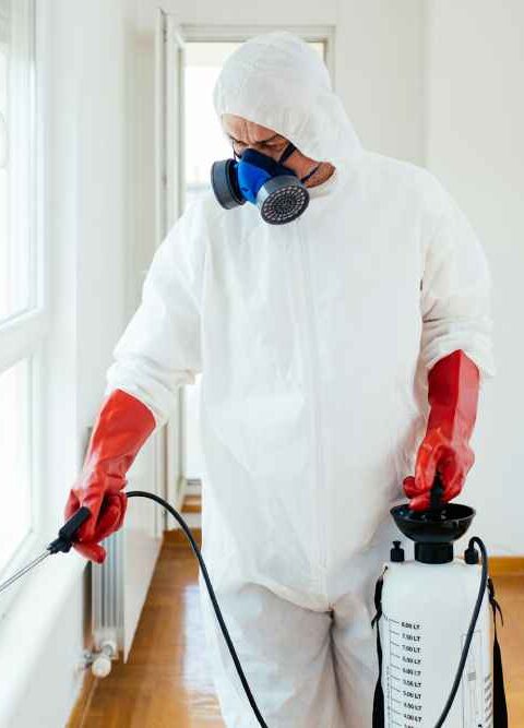 Regular Inspections Prevent Pest Infestations