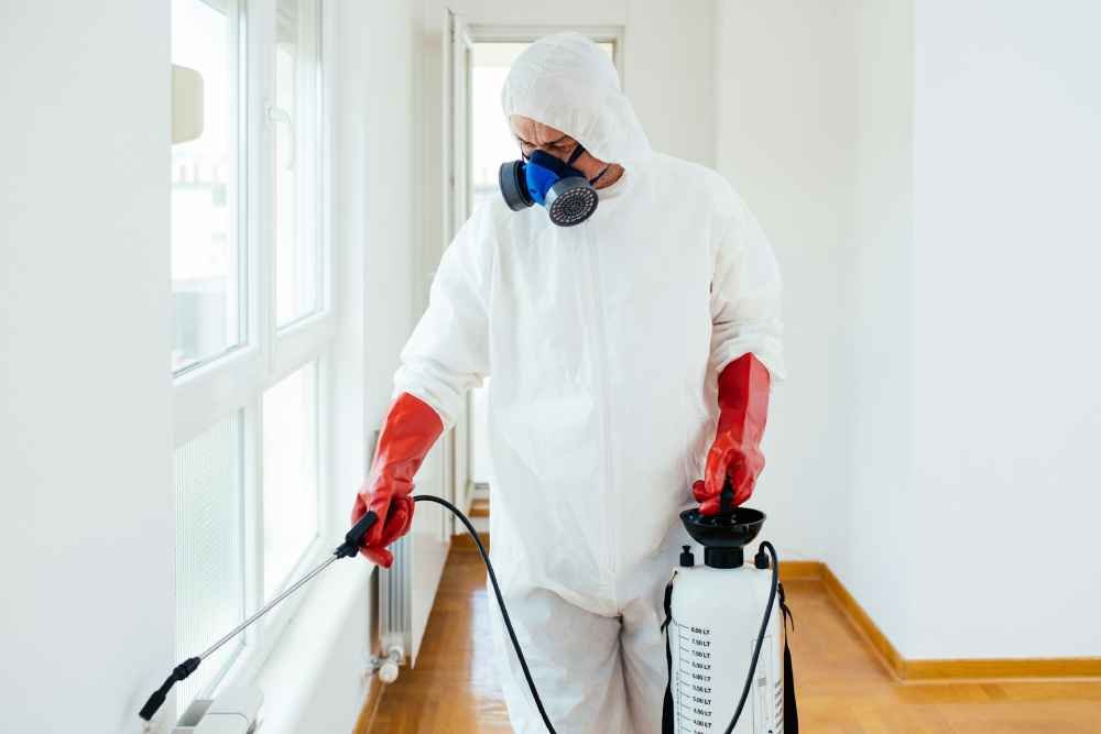 Infestation Home Inspection The Importance of Regular Inspections to Prevent Pest Infestations ...