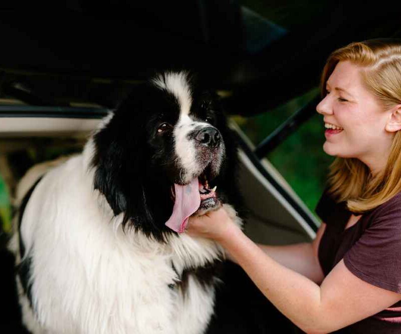 Strengthen Your Bond with an Aging Pet