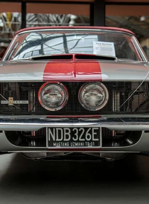 License Plate Renewal Experience