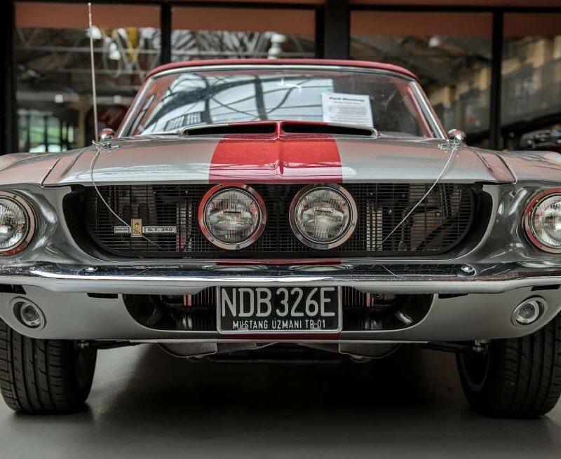 License Plate Renewal Experience