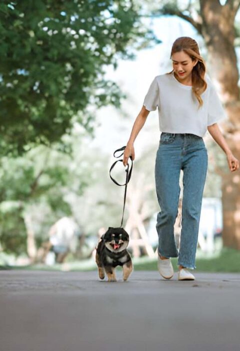 evaluate these key factors before adopting a canine companion