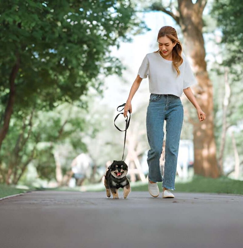 evaluate these key factors before adopting a canine companion